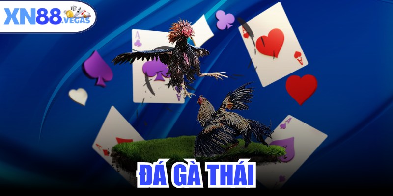 Đá Gà Thái