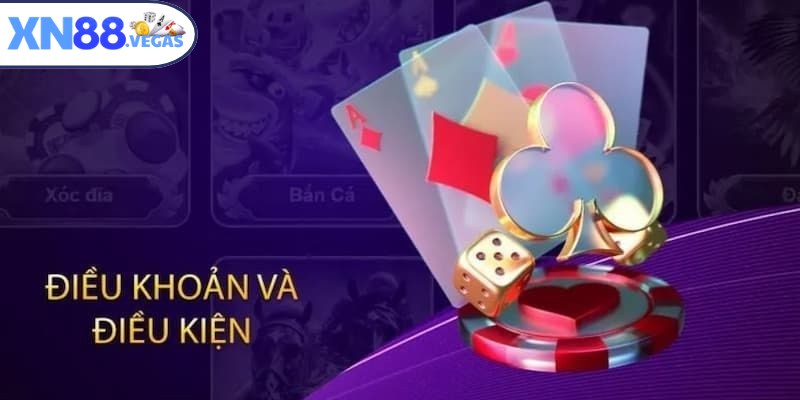 Điều khoản điều kiện XN88 được xây dựng chi tiết và công khai